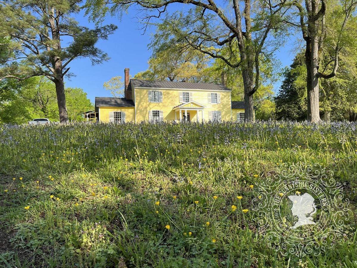 The Sunnyside Sisters Bed And Breakfast Clarksville Dış mekan fotoğraf